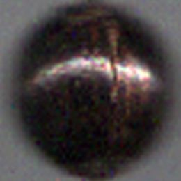 Pater Bead from Aunt Lupe's Rosary